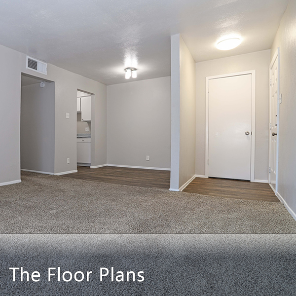 Spacious Floor Plans